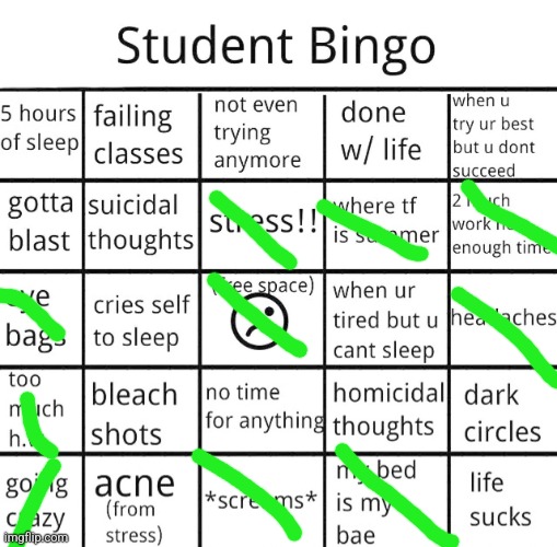 student bingo | image tagged in student bingo | made w/ Imgflip meme maker