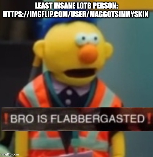 Flabbergasted Yellow Guy | LEAST INSANE LGTB PERSON: HTTPS://IMGFLIP.COM/USER/MAGGOTSINMYSKIN | image tagged in flabbergasted yellow guy | made w/ Imgflip meme maker