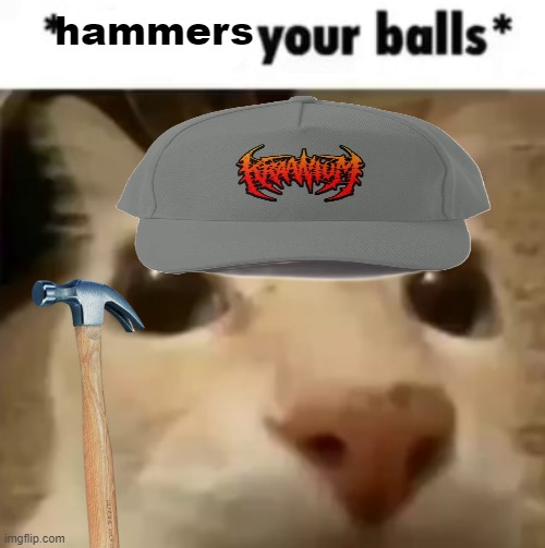 *water going down pipe noises* | hammers | image tagged in x your balls | made w/ Imgflip meme maker