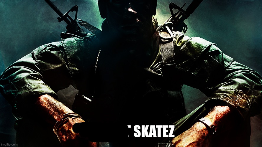 Black ops guy | IS THAT SKATEZ | image tagged in black ops guy | made w/ Imgflip meme maker