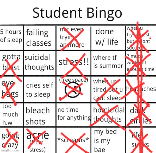 The insanity | image tagged in student bingo | made w/ Imgflip meme maker