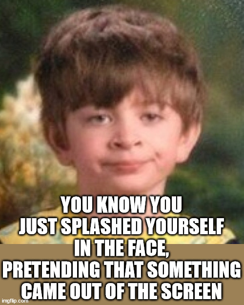 Annoyed face | YOU KNOW YOU JUST SPLASHED YOURSELF IN THE FACE,
PRETENDING THAT SOMETHING CAME OUT OF THE SCREEN | image tagged in annoyed face | made w/ Imgflip meme maker