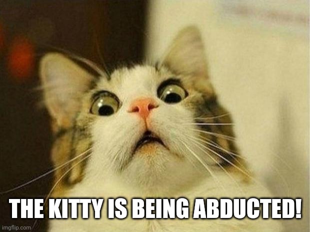 Scared Cat Meme | THE KITTY IS BEING ABDUCTED! | image tagged in memes,scared cat | made w/ Imgflip meme maker