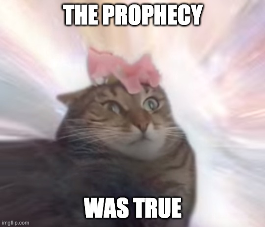 the prophecy was true cat | THE PROPHECY WAS TRUE | image tagged in the prophecy was true cat | made w/ Imgflip meme maker