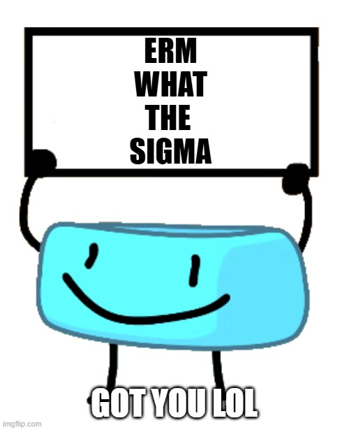 Bracelety Sign | ERM
WHAT
THE 
SIGMA; GOT YOU LOL | image tagged in bracelety sign | made w/ Imgflip meme maker