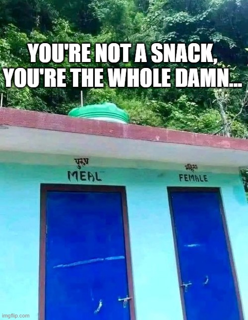 Whose Bathroom? | YOU'RE NOT A SNACK, YOU'RE THE WHOLE DAMN... | image tagged in you had one job | made w/ Imgflip meme maker