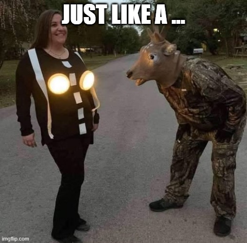 Got a Deer | JUST LIKE A ... | image tagged in funny,memes | made w/ Imgflip meme maker