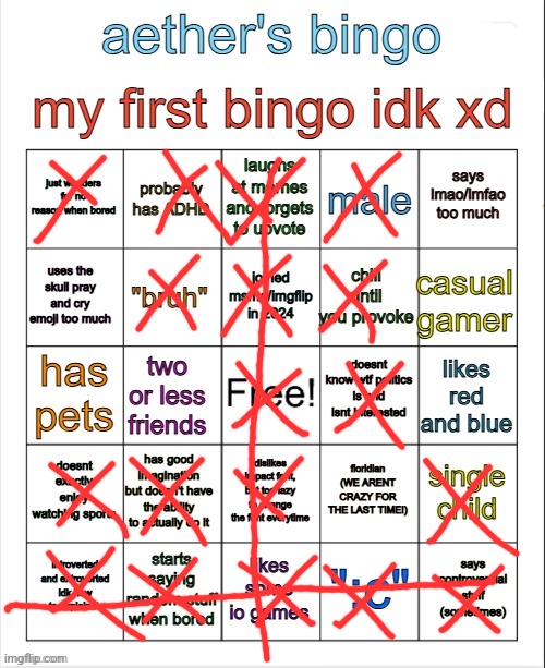 Aether's Bingo | image tagged in aether's bingo | made w/ Imgflip meme maker