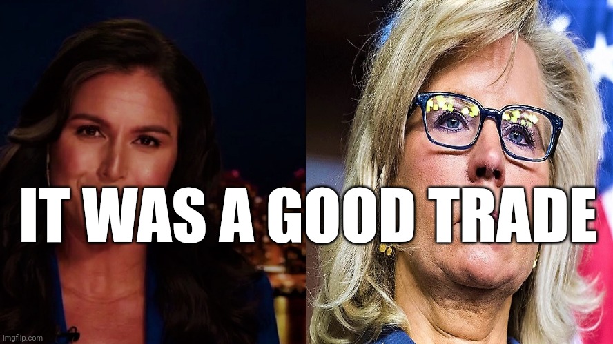 Dems lose Tulsi and gain Liz | IT WAS A GOOD TRADE | image tagged in dems lose tulsi and gain liz | made w/ Imgflip meme maker