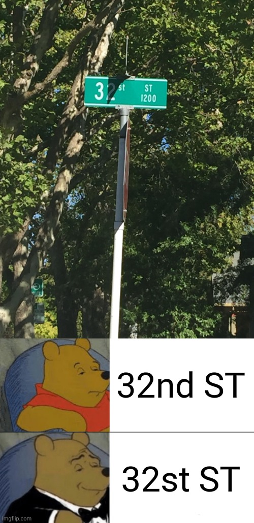 "32st ST" | 32nd ST; 32st ST | image tagged in memes,tuxedo winnie the pooh,street,signs,you had one job,number | made w/ Imgflip meme maker