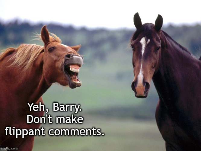 screaming angry horse | Yeh, Barry. Don't make flippant comments. | image tagged in screaming angry horse | made w/ Imgflip meme maker