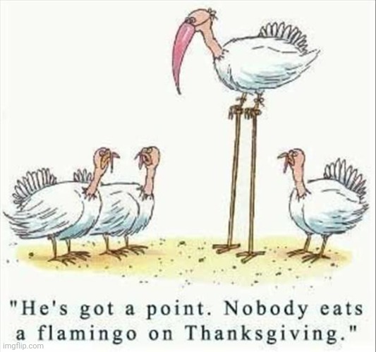 Thanksgiving | image tagged in thanksgiving,turkey,flamingo,clever,funny | made w/ Imgflip meme maker