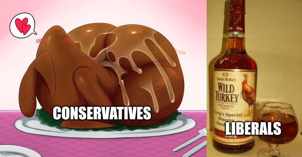 CONSERVATIVES LIBERALS | image tagged in thanksgiving turkey,wild turkey 101 | made w/ Imgflip meme maker