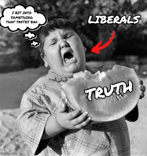 Liberals | LIBERALS; I BIT INTO SOMETHING THAT TASTES BAD; TRUTH | image tagged in fat kid | made w/ Imgflip meme maker