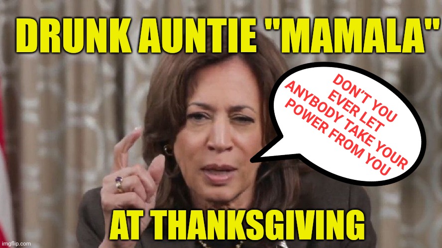 ‘Is She Drunk?’ Kamala Harris’ Emotional, Tear-Filled Video Sparks Outrage After Crushing Election Defeat - Doctors concerned | DON’T YOU EVER LET ANYBODY TAKE YOUR POWER FROM YOU; DRUNK AUNTIE "MAMALA"; AT THANKSGIVING | image tagged in drunk kamala wisdom,lol,family,thanksgiving,funny | made w/ Imgflip meme maker