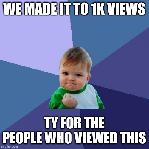 WE MADE IT TO 1K VIEWS TY FOR THE PEOPLE WHO VIEWED THIS | image tagged in memes,success kid | made w/ Imgflip meme maker