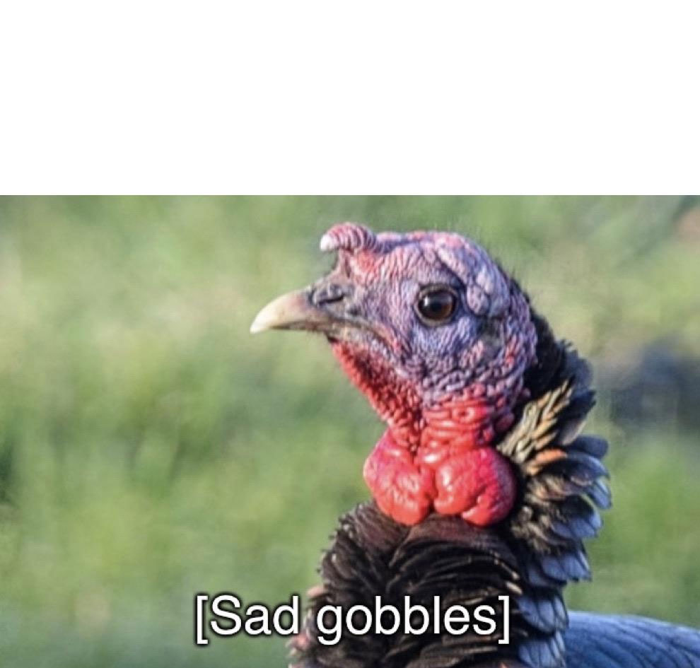 Sad gobbles Blank Meme Template