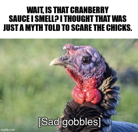 ?? Happy Thanksgiving day! ? | WAIT, IS THAT CRANBERRY SAUCE I SMELL? I THOUGHT THAT WAS JUST A MYTH TOLD TO SCARE THE CHICKS. | image tagged in sad gobbles | made w/ Imgflip meme maker