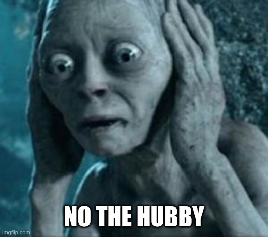 Scared Gollum | NO THE HUBBY | image tagged in scared gollum | made w/ Imgflip meme maker