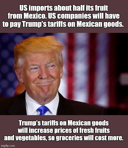 Don't blame Biden for increased grocery costs. | US imports about half its fruit from Mexico. US companies will have to pay Trump's tariffs on Mexican goods. Trump's tariffs on Mexican goods will increase prices of fresh fruits and vegetables, so groceries will cost more. | image tagged in trump tariffs cost consumers more,tariffs,trump | made w/ Imgflip meme maker