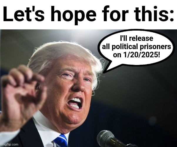 Hope | Let's hope for this:; I'll release
all political prisoners
on 1/20/2025! | image tagged in donald trump,memes,political prisoners,january 20,release them | made w/ Imgflip meme maker