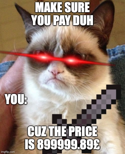 grumpy cat pays | MAKE SURE YOU PAY DUH; YOU:; CUZ THE PRICE IS 899999.89£ | image tagged in memes,grumpy cat | made w/ Imgflip meme maker