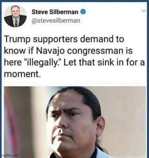 Not made by me | image tagged in the bottomless pit of maga stupidity,racism,native americans | made w/ Imgflip meme maker