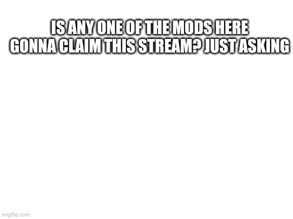 Just wanna make sure I can if nobody else is planning on it | IS ANY ONE OF THE MODS HERE GONNA CLAIM THIS STREAM? JUST ASKING | made w/ Imgflip meme maker