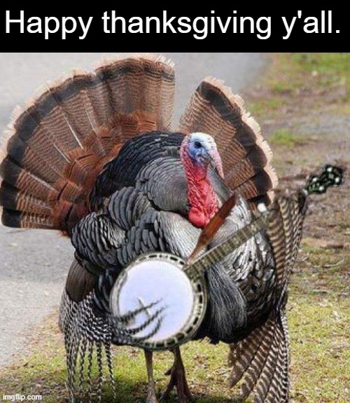 Happy Thanksgiving | Happy thanksgiving y'all. | image tagged in banjo turkey,thanksgiving | made w/ Imgflip meme maker