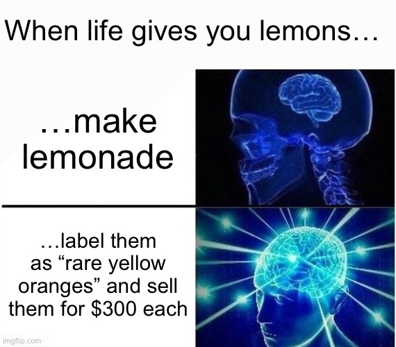 Lemons. | When life gives you lemons…; …make lemonade; …label them as “rare yellow oranges” and sell them for $300 each | image tagged in expanding brain two frames,memes,funny,smort,expanding brain | made w/ Imgflip meme maker