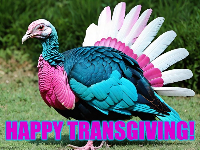 Happy Transgiving | HAPPY TRANSGIVING! | image tagged in thanksgiving,transgender,bad pun | made w/ Imgflip meme maker