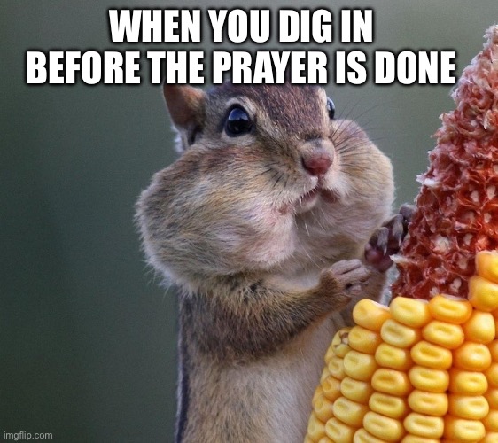 Thanksgiving Squirrel | WHEN YOU DIG IN BEFORE THE PRAYER IS DONE | image tagged in thanksgiving squirrel | made w/ Imgflip meme maker