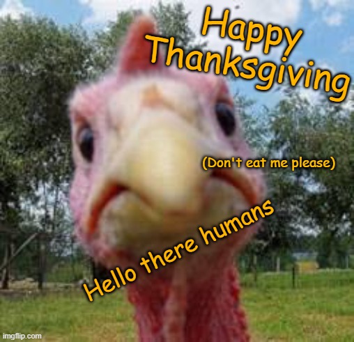 Happy thanksgiving | Happy Thanksgiving; (Don't eat me please); Hello there humans | image tagged in turkey | made w/ Imgflip meme maker