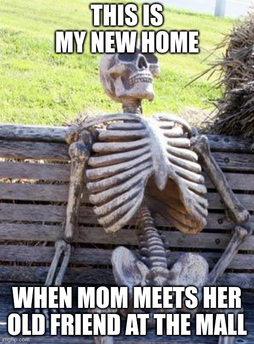 Waiting Skeleton Meme | THIS IS MY NEW HOME; WHEN MOM MEETS HER OLD FRIEND AT THE MALL | image tagged in memes,waiting skeleton | made w/ Imgflip meme maker