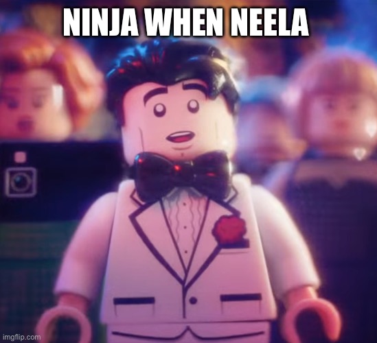 Lego Bruce Wayne In Love | NINJA WHEN NEELA | image tagged in lego bruce wayne in love | made w/ Imgflip meme maker