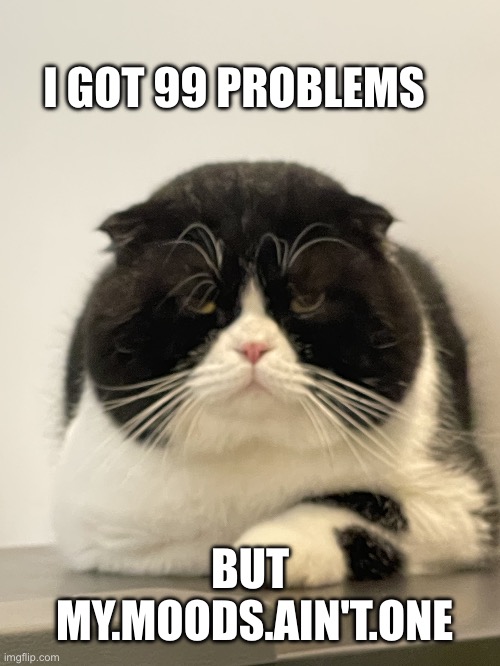 Grumpy Dude | I GOT 99 PROBLEMS; BUT 
MY.MOODS.AIN'T.ONE | image tagged in grumpy dude | made w/ Imgflip meme maker