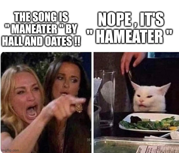 Parody memes | NOPE , IT'S " HAMEATER "; THE SONG IS " MANEATER " BY HALL AND OATES !! | image tagged in lady screams at cat | made w/ Imgflip meme maker