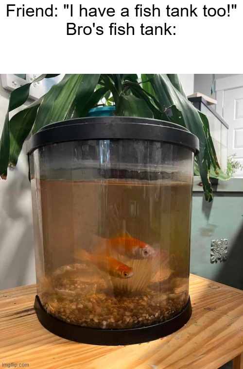 shitty aquarium | Friend: "I have a fish tank too!"
Bro's fish tank: | image tagged in fish,goldfish,aquarium,shitty | made w/ Imgflip meme maker