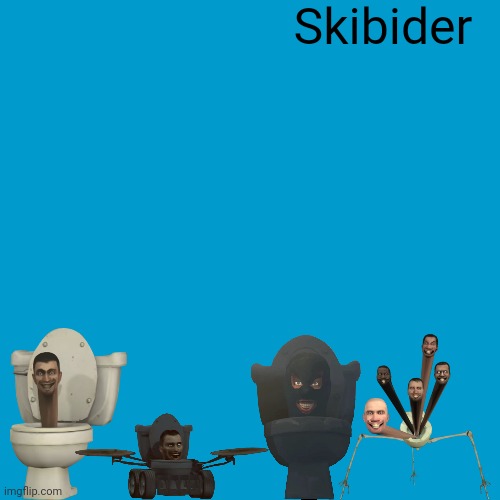 Blank Weezer blue album edit | Skibider | image tagged in blank weezer blue album edit | made w/ Imgflip meme maker