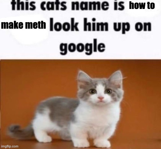 this cats name is x look him up on google | how to; make meth | image tagged in this cats name is x look him up on google | made w/ Imgflip meme maker