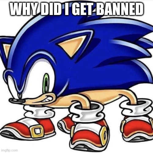 i might leave since this became a snowflake ahh stream. | WHY DID I GET BANNED | image tagged in 4 legged sonic | made w/ Imgflip meme maker