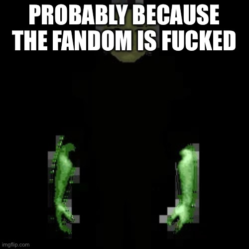 Garn47 (V2) | PROBABLY BECAUSE THE FANDOM IS FUCKED | image tagged in garn47 v2 | made w/ Imgflip meme maker