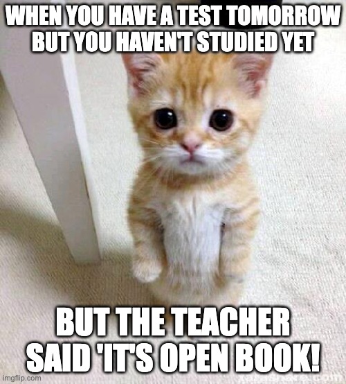 Cute Cat Meme | WHEN YOU HAVE A TEST TOMORROW BUT YOU HAVEN'T STUDIED YET; BUT THE TEACHER SAID 'IT'S OPEN BOOK! | image tagged in memes,cute cat | made w/ Imgflip meme maker