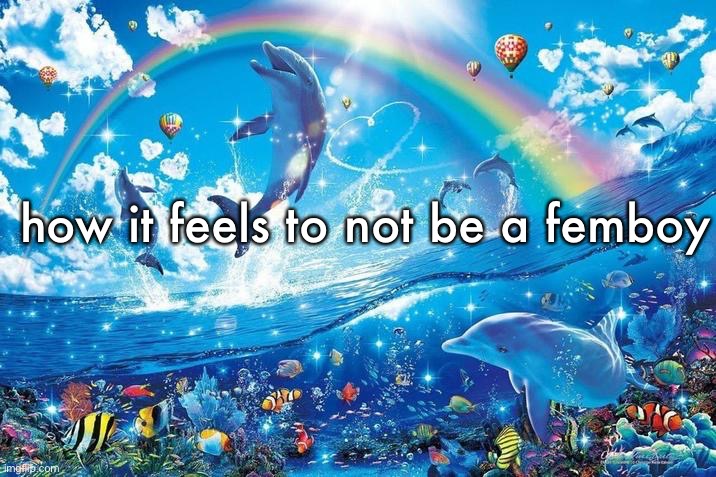 Happy dolphin rainbow | how it feels to not be a femboy | image tagged in happy dolphin rainbow | made w/ Imgflip meme maker