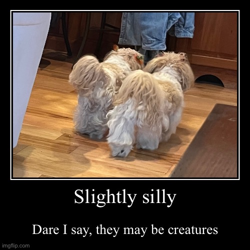 Visiting a relative rn, it's chill | Slightly silly | Dare I say, they may be creatures | image tagged in funny,demotivationals | made w/ Imgflip demotivational maker