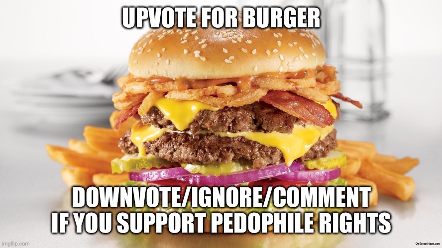 Burger & Fries | UPVOTE FOR BURGER; DOWNVOTE/IGNORE/COMMENT IF YOU SUPPORT PEDOPHILE RIGHTS | image tagged in burger fries | made w/ Imgflip meme maker