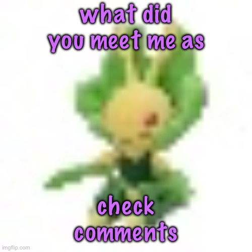 144p Leavanny | what did you meet me as; check comments | image tagged in 144p leavanny,cinnabox announcement | made w/ Imgflip meme maker