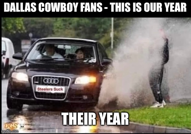 Dallas Cowboys | DALLAS COWBOY FANS - THIS IS OUR YEAR; THEIR YEAR | image tagged in dallas cowboys | made w/ Imgflip meme maker