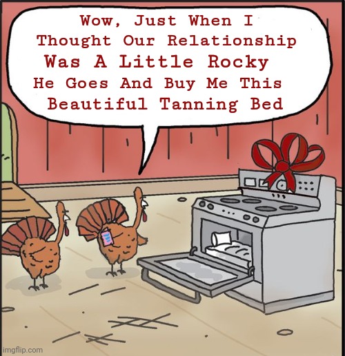 Nothing Like A Nicely Baked "Tanned Turkey" To Fix A Rocky Relationship | Wow, Just When I Thought Our Relationship; He Goes And Buy Me This; Was A Little Rocky; Beautiful Tanning Bed | image tagged in memes,thanksgiving,thanksgiving dinner,relationships | made w/ Imgflip meme maker