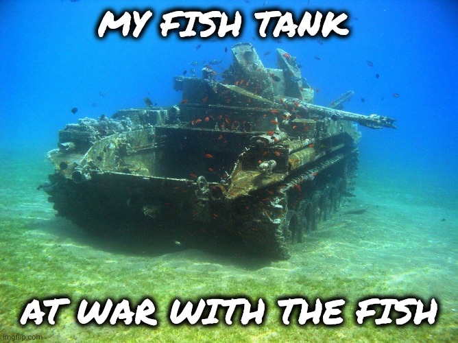 Fish Tank | MY FISH TANK AT WAR WITH THE FISH | image tagged in fish tank | made w/ Imgflip meme maker